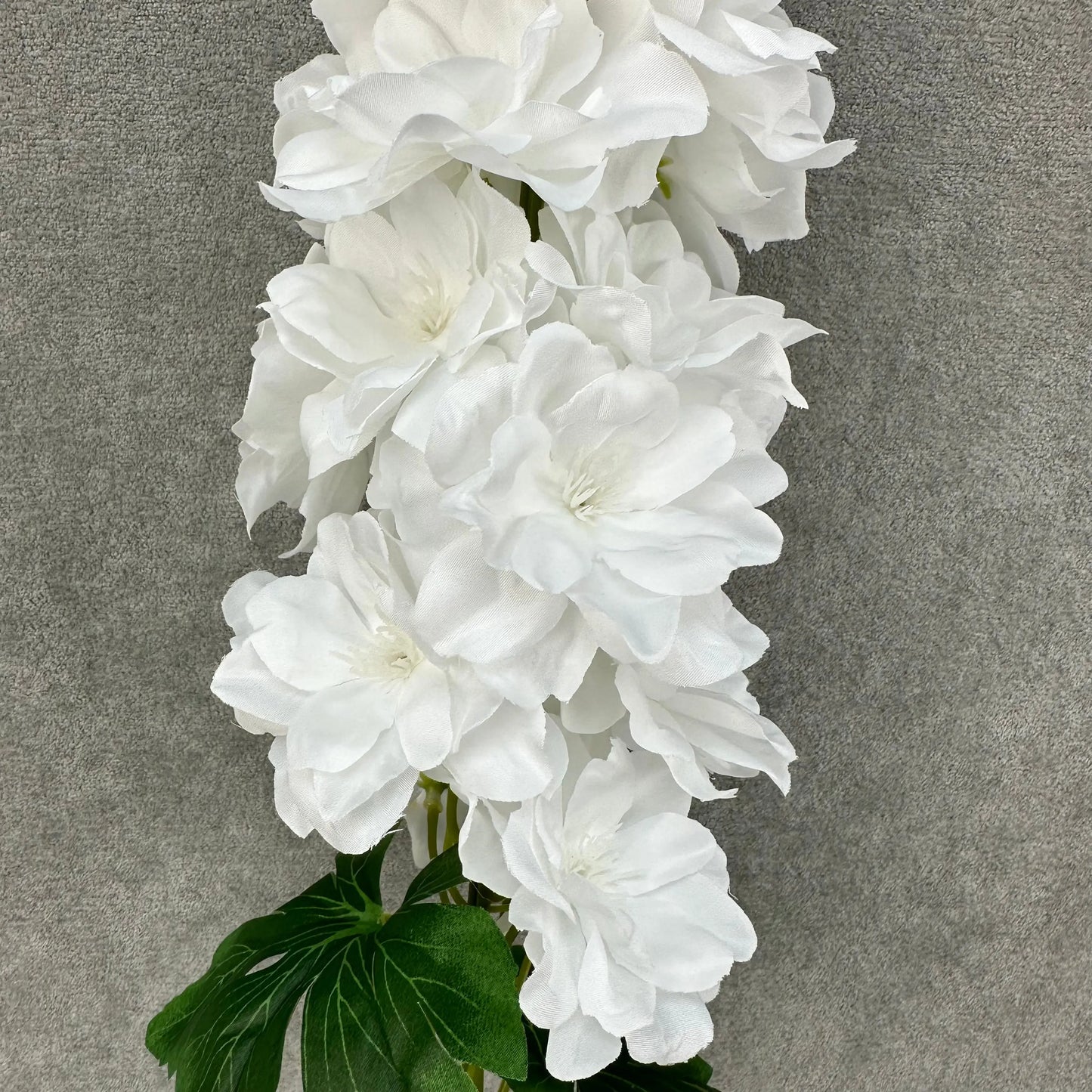 White Silk Spring Larkspur Stem RosesHQ.com