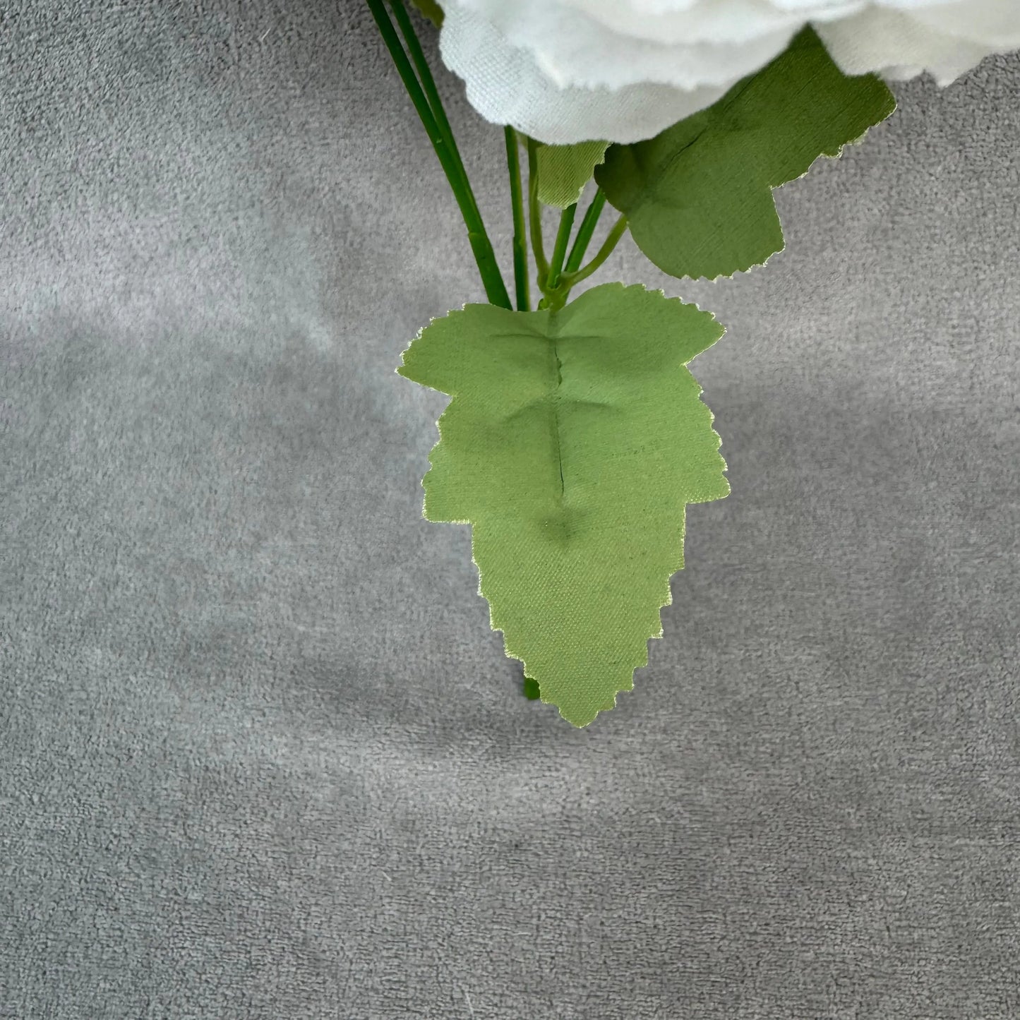 White Silk Peony Bush - 5 Heads RosesHQ.com