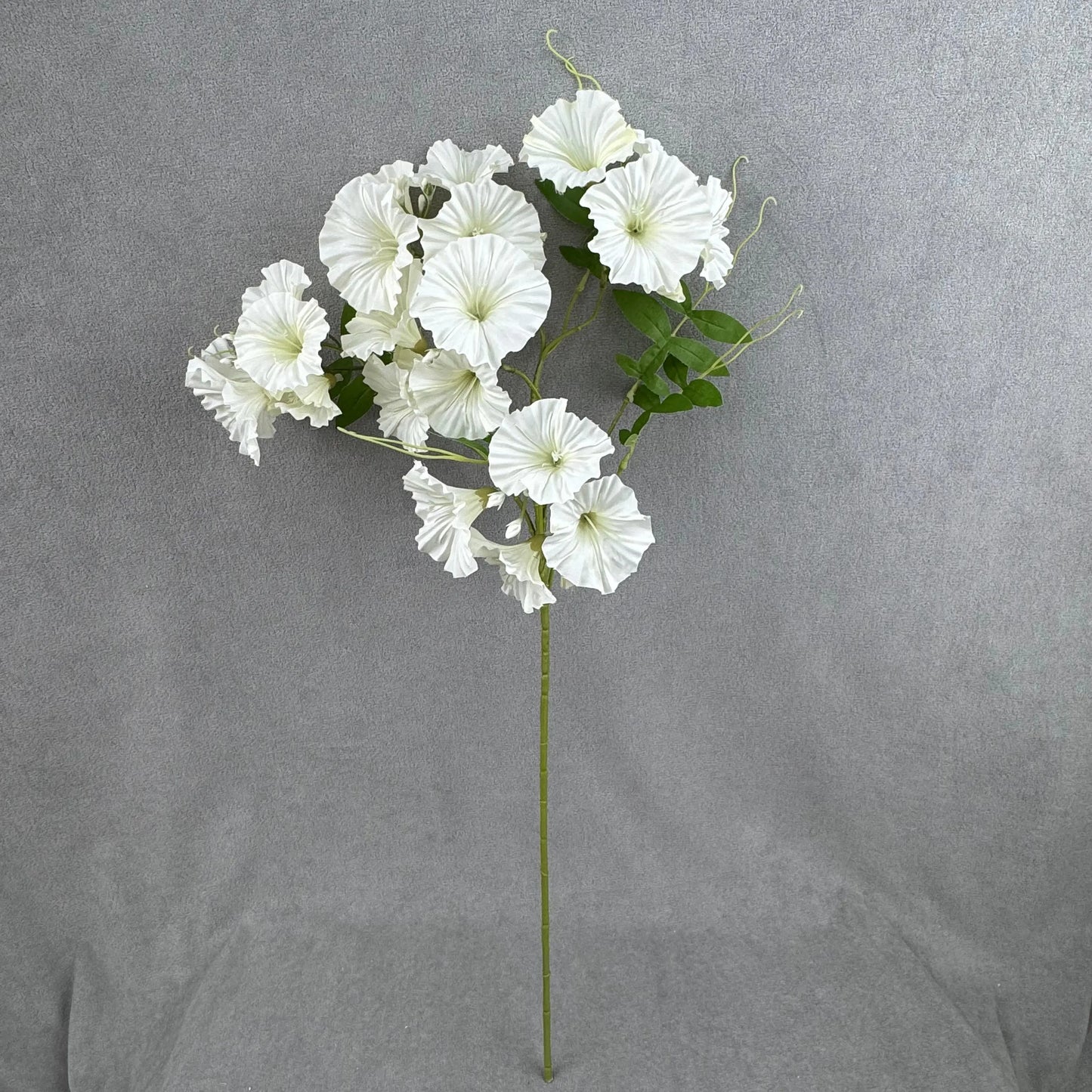 Ivory Silk Morning Glory Spray RosesHQ.com