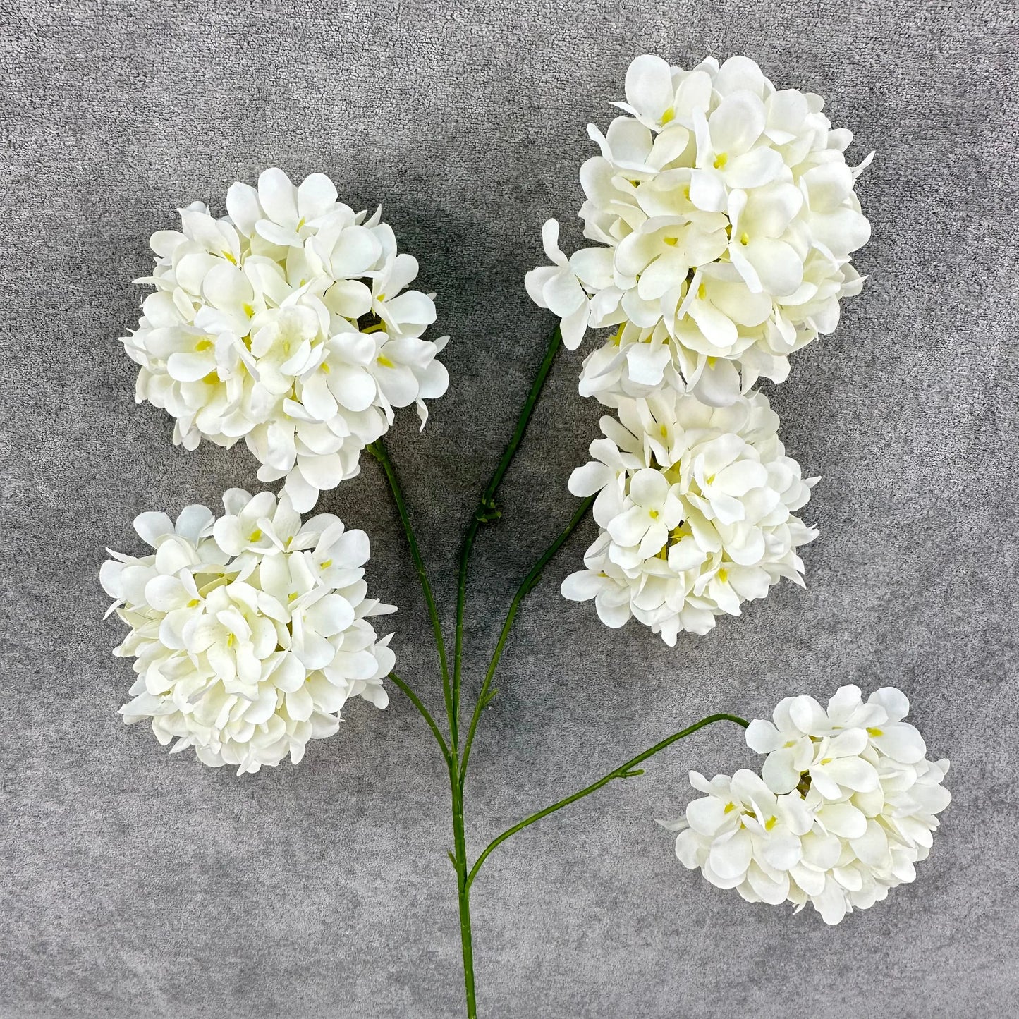 Ivory Silk Candy Hydrangea Bush - 5 Heads RosesHQ.com