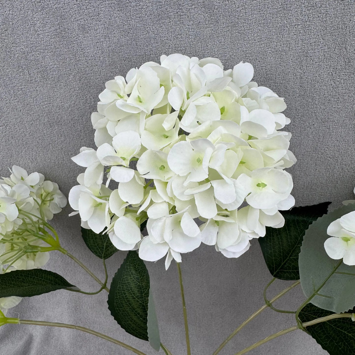 Ivory Silk French Hydrangea Bush - 5 Heads RosesHQ.com