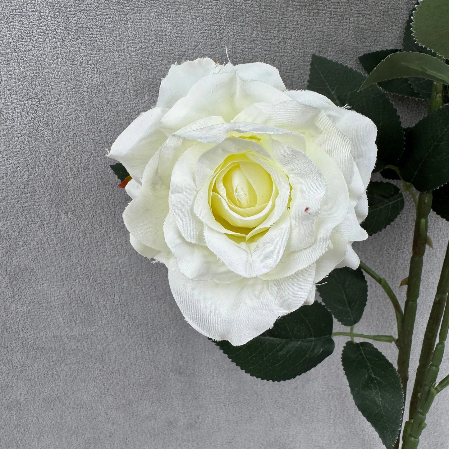 Ivory Silk Classic Rose Branch - 8 Heads RosesHQ.com