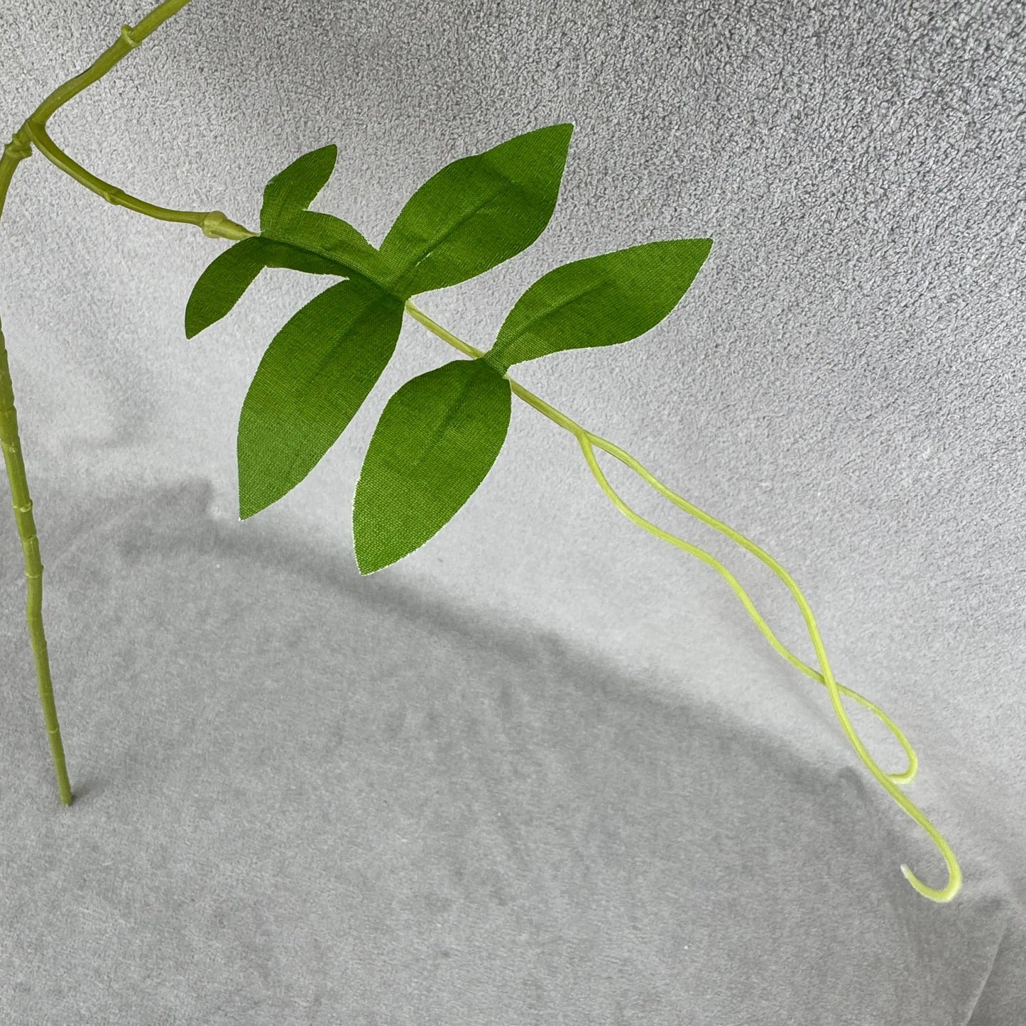 Champagne Silk Morning Glory Spray RosesHQ.com