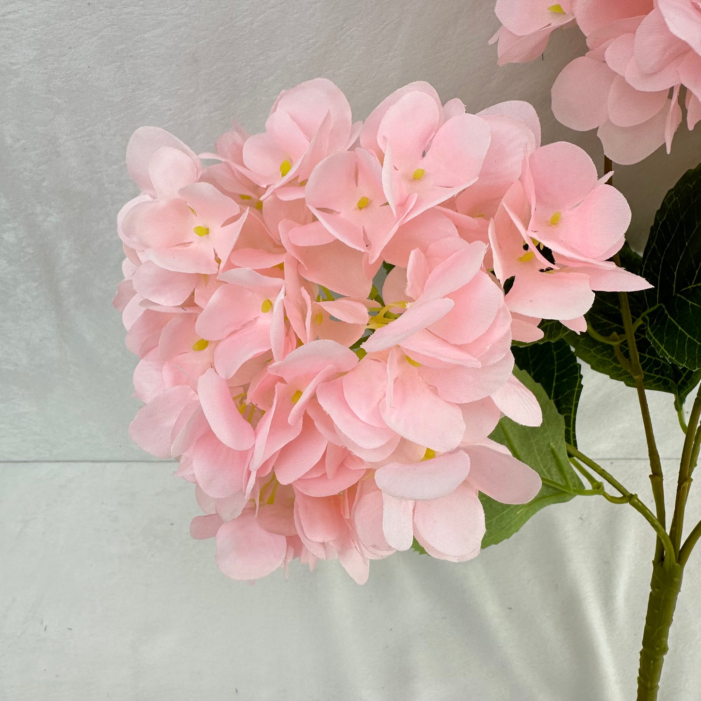 Pink Silk French Hydrangea Bush - 5 Heads