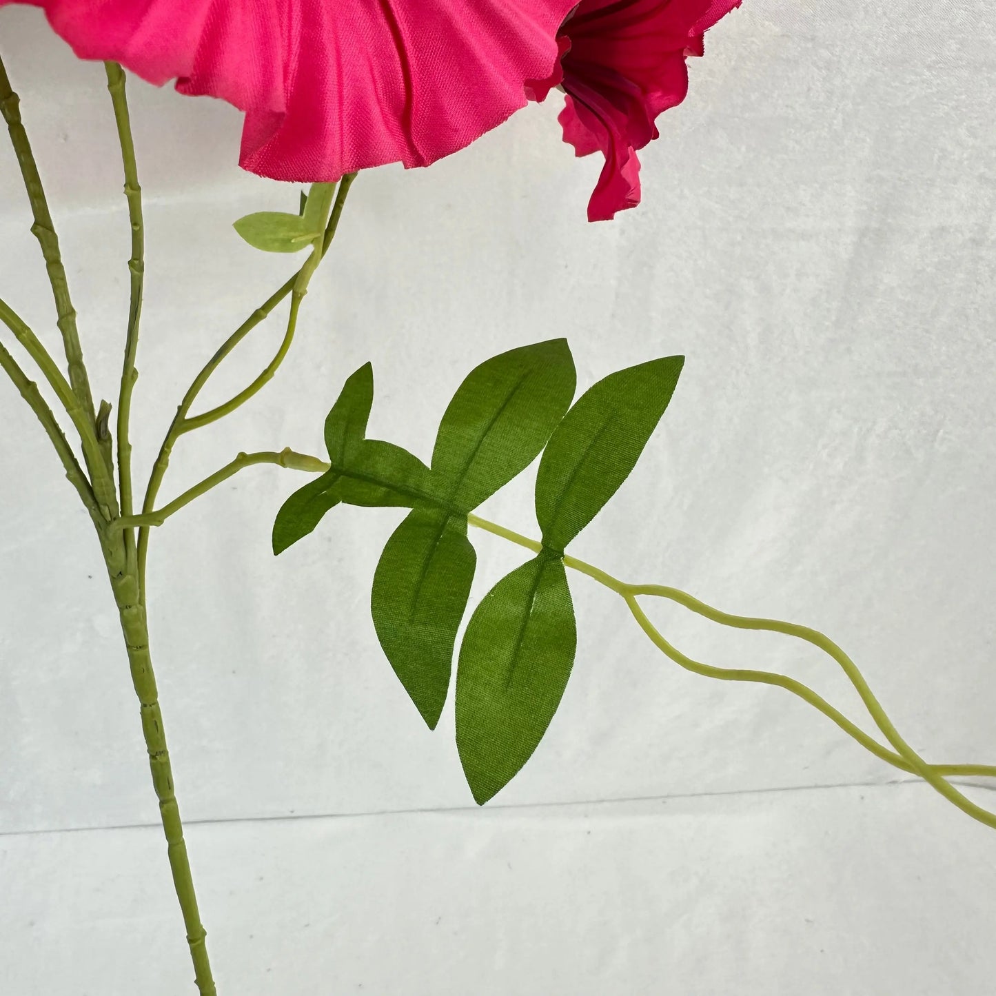 Pink Silk Morning Glory Spray RosesHQ.com