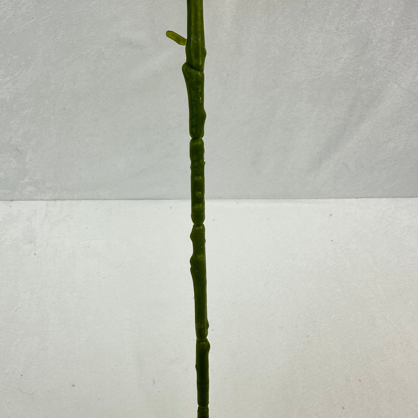 Red Silk Spring Larkspur Stem