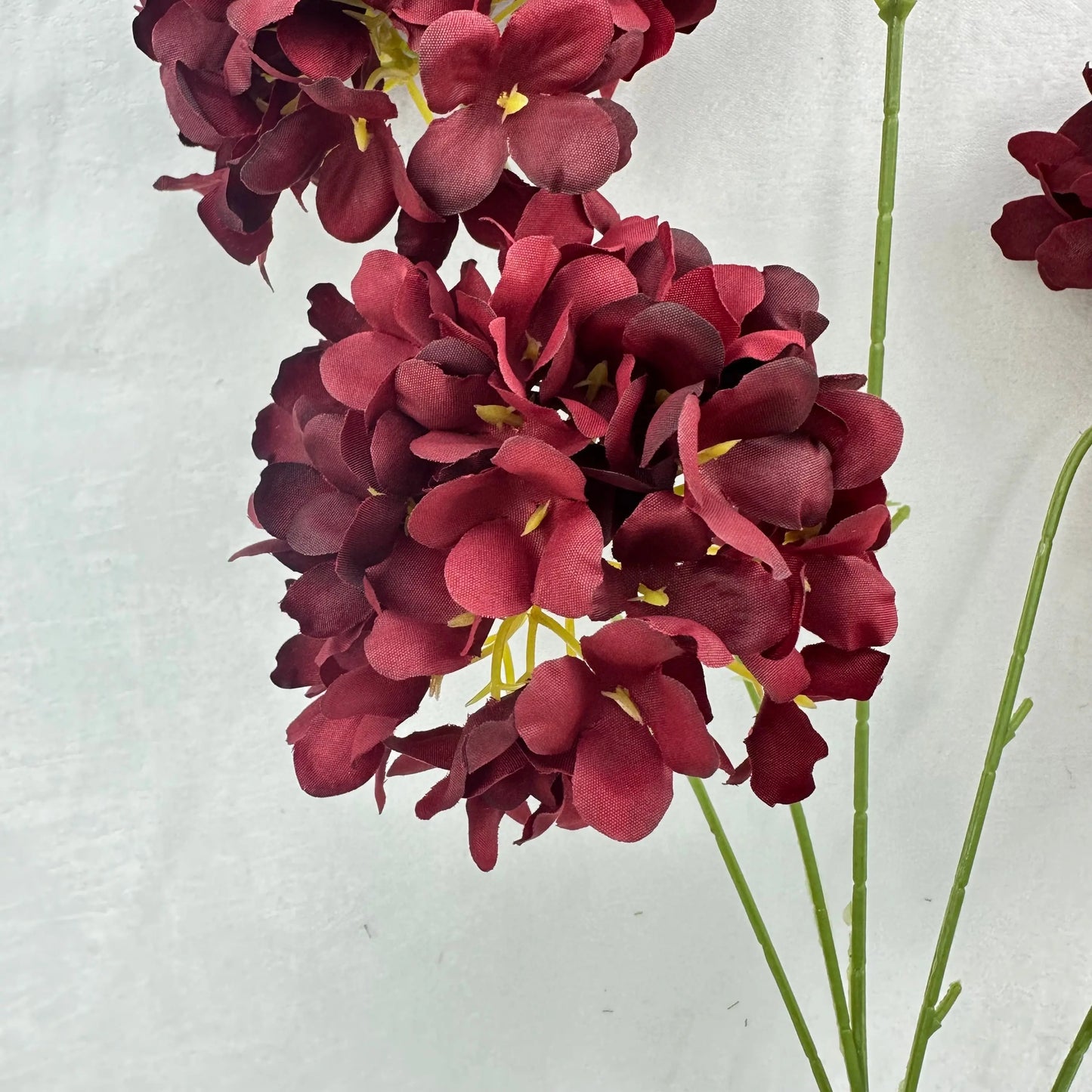 Red Silk Candy Hydrangea Bush - 5 Heads RosesHQ.com