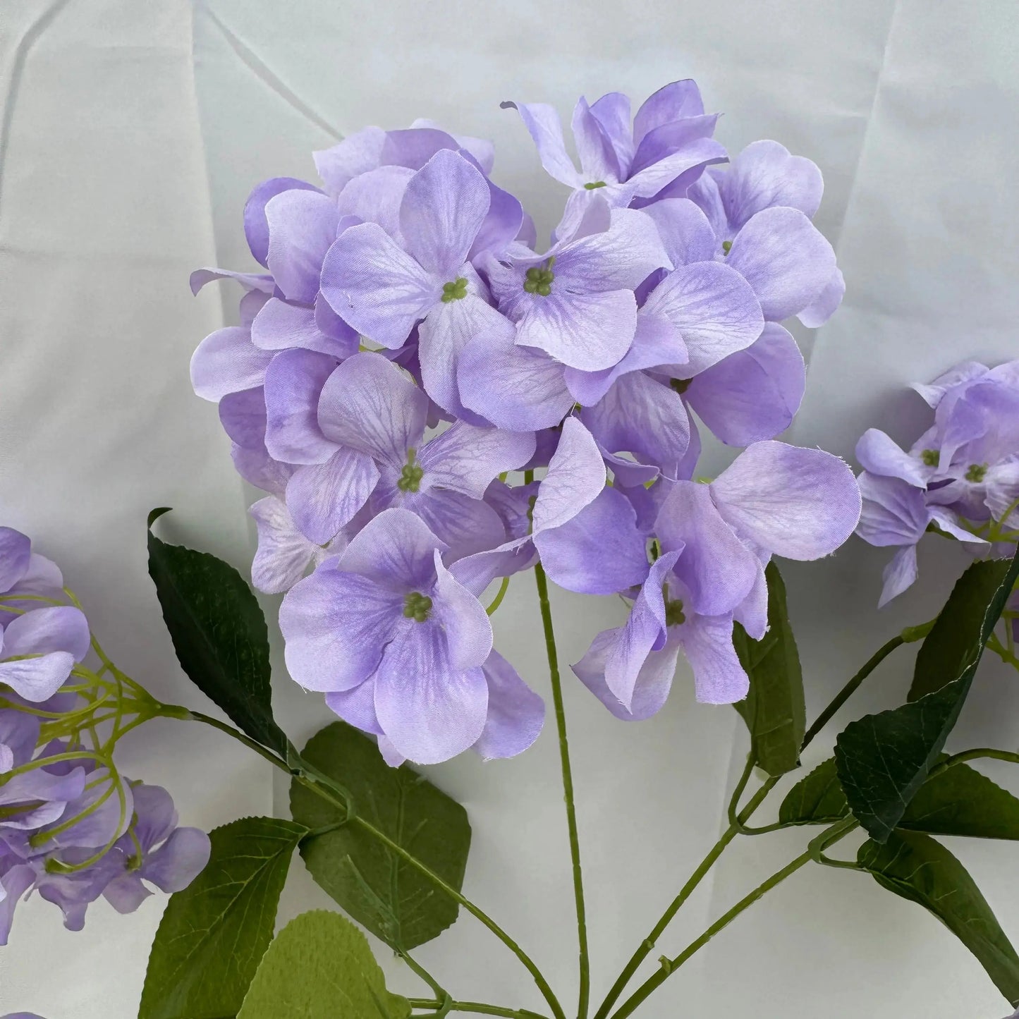 Lavender Silk Bulgarian Hydrangea Bush - 5 Heads RosesHQ.com