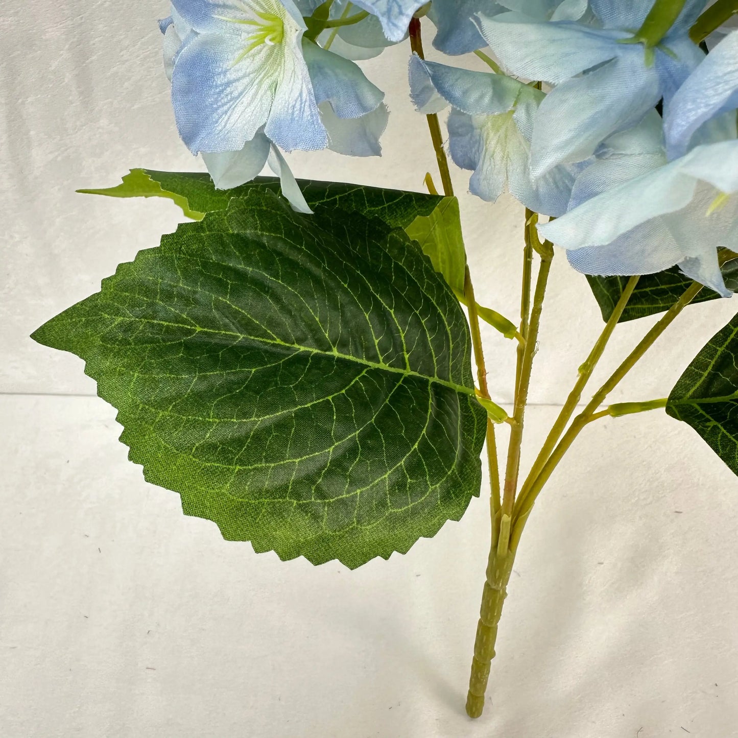Blue Silk Lady Rose Hydrangea Bush - 5 Heads RosesHQ.com