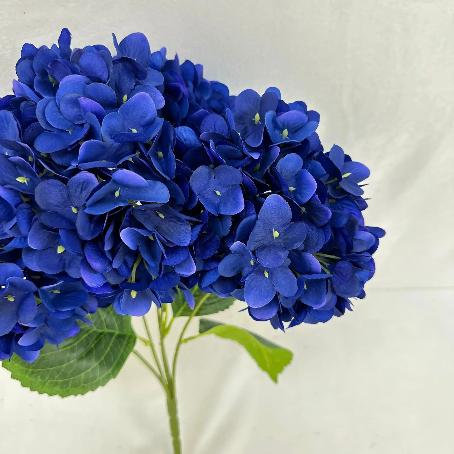 Blue Silk Pomegranate Hydrangea Bush - 5 Heads RosesHQ.com