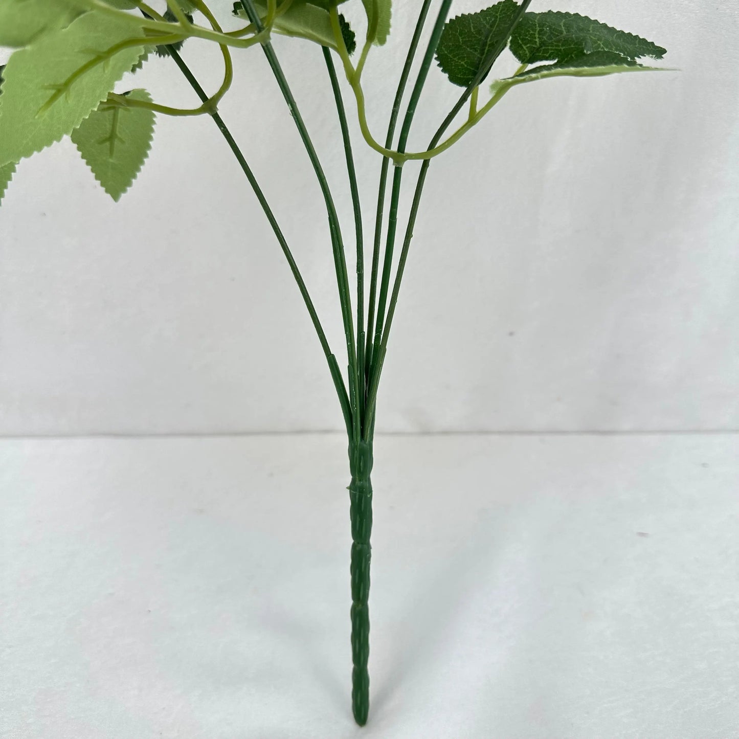 Blue Silk Empress Rose Bush - 7 Heads RosesHQ.com