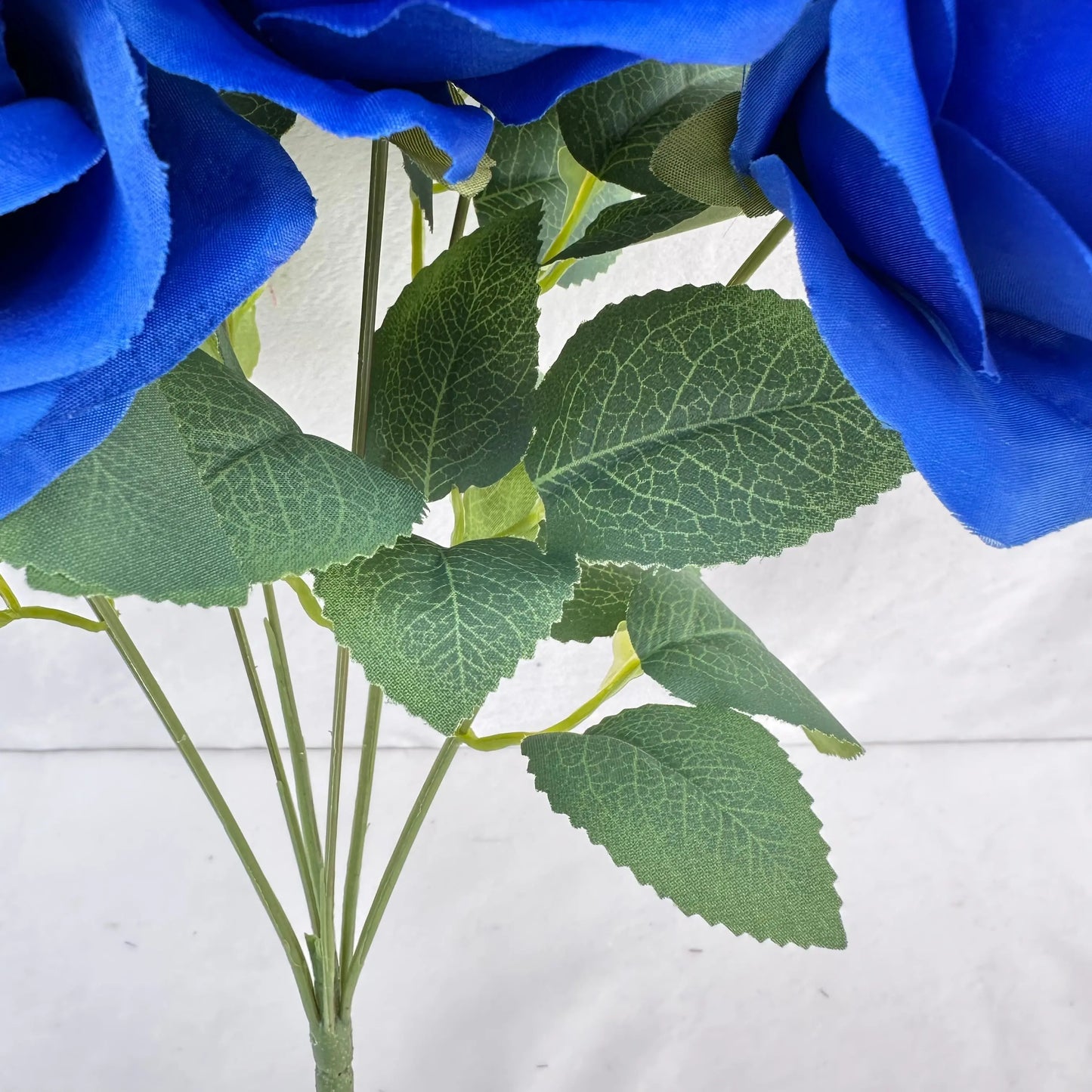 Blue Silk Happiness Rose Bush - 7 Heads RosesHQ.com