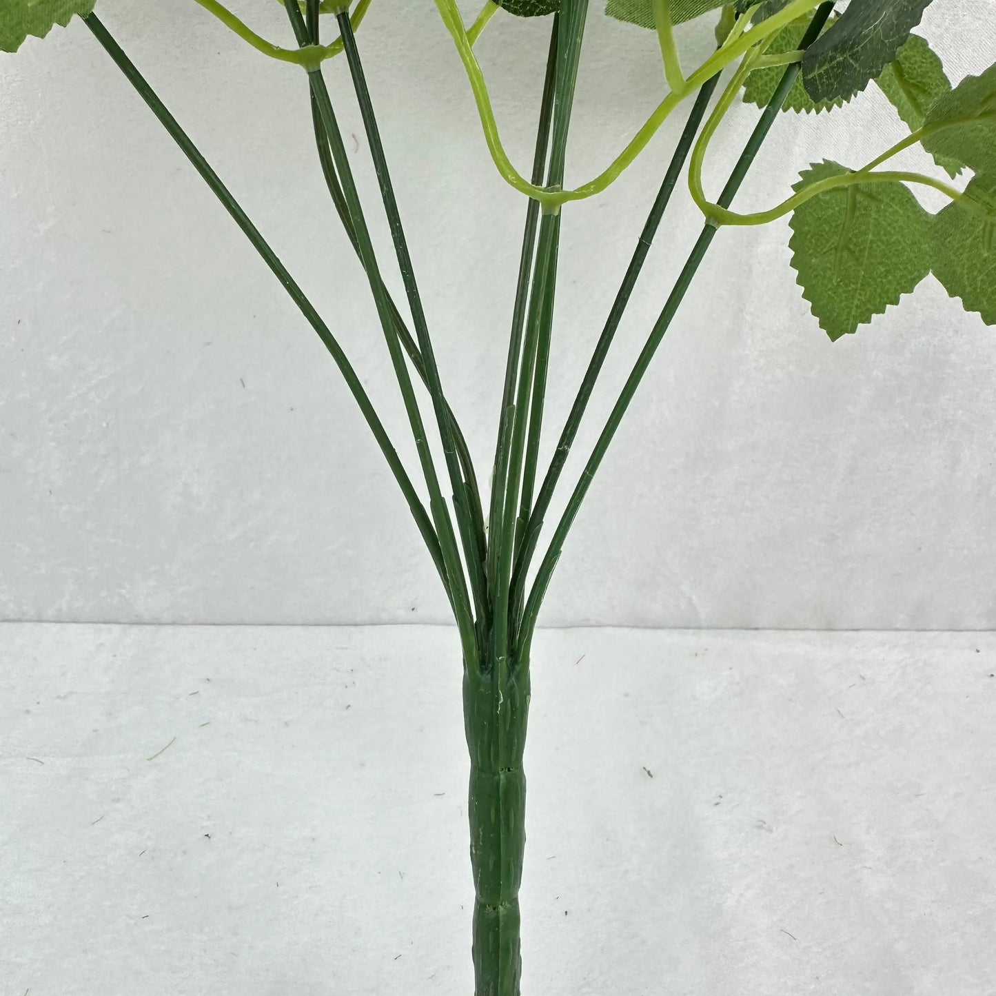 Green Silk Diamond Rose Bush - 9 Heads RosesHQ.com