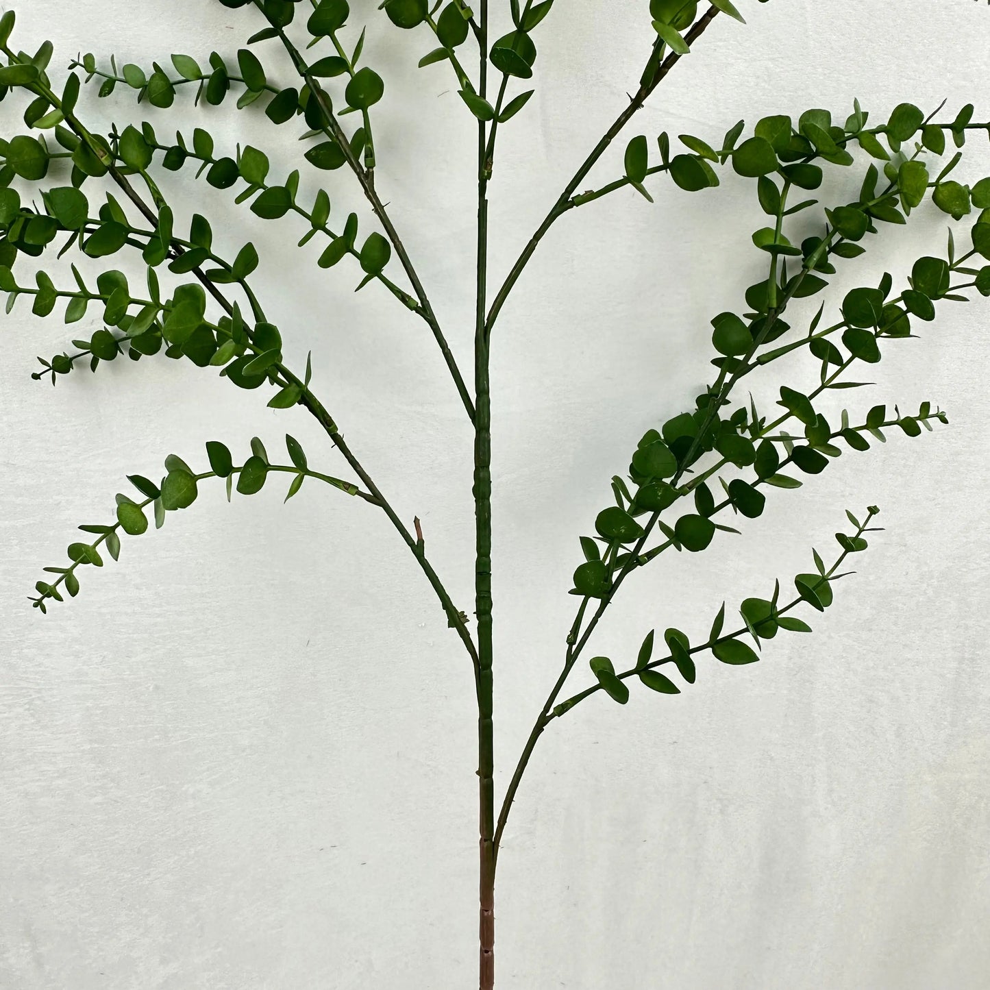 Green Hanging Eucalyptus Branch RosesHQ.com