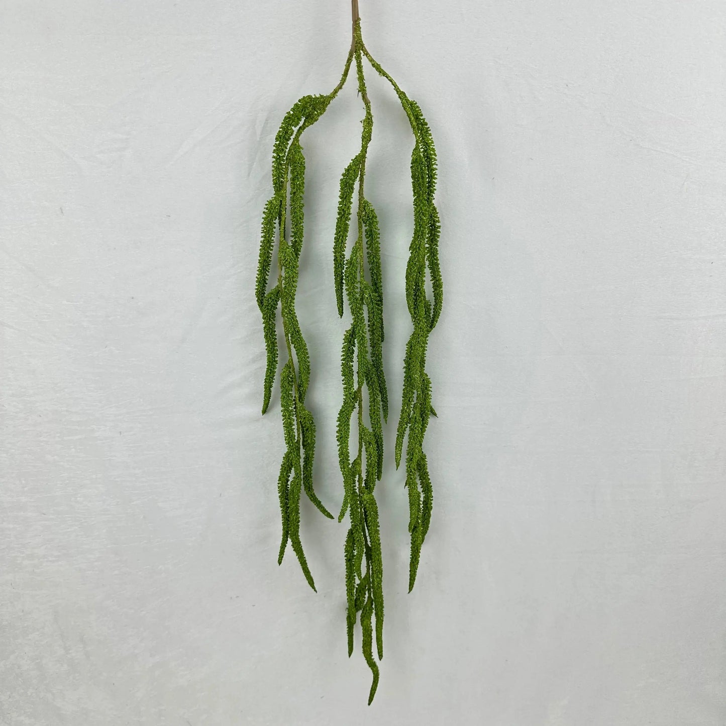 Green Silk Amaranthus Stem RosesHQ.com