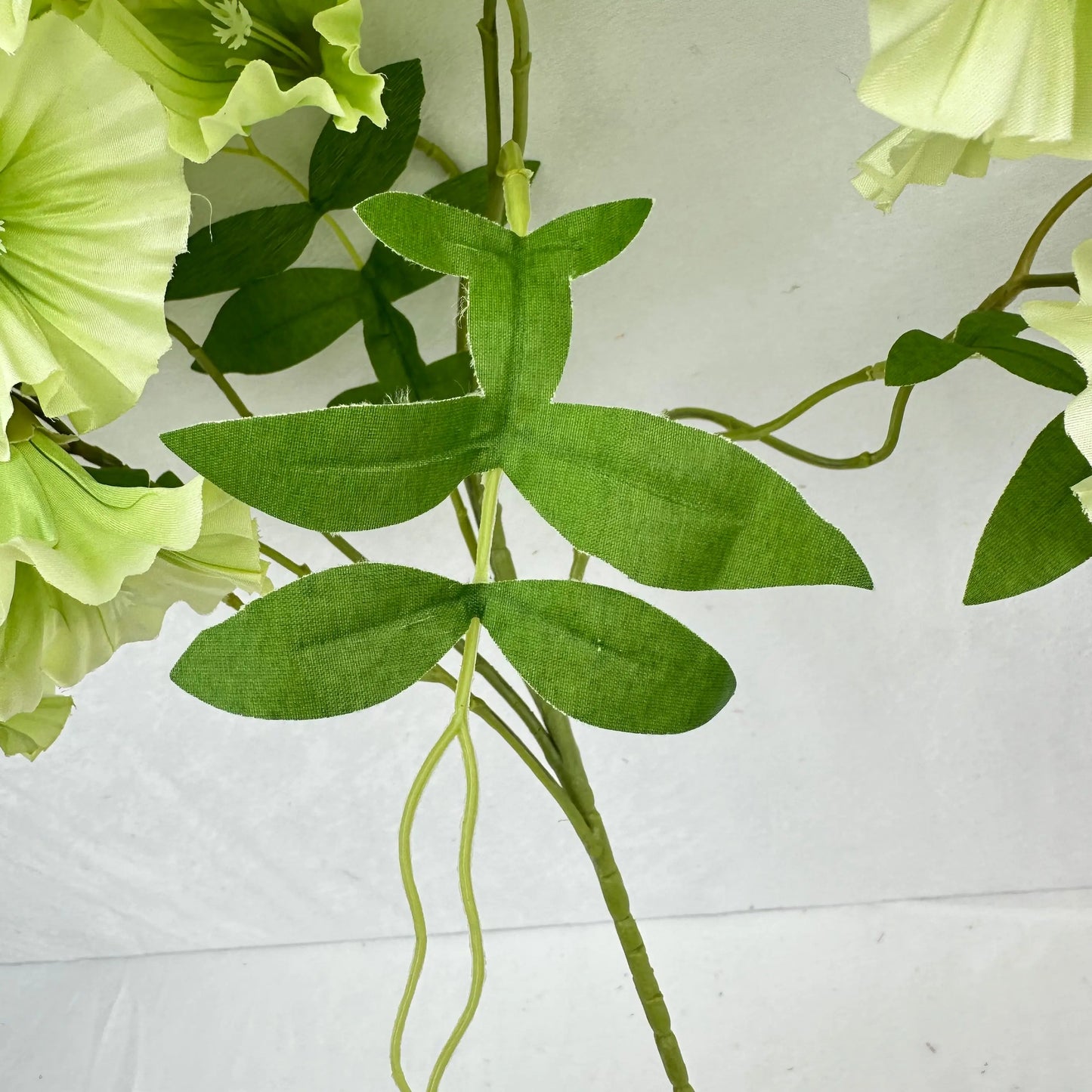 Green Silk Morning Glory Spray RosesHQ.com