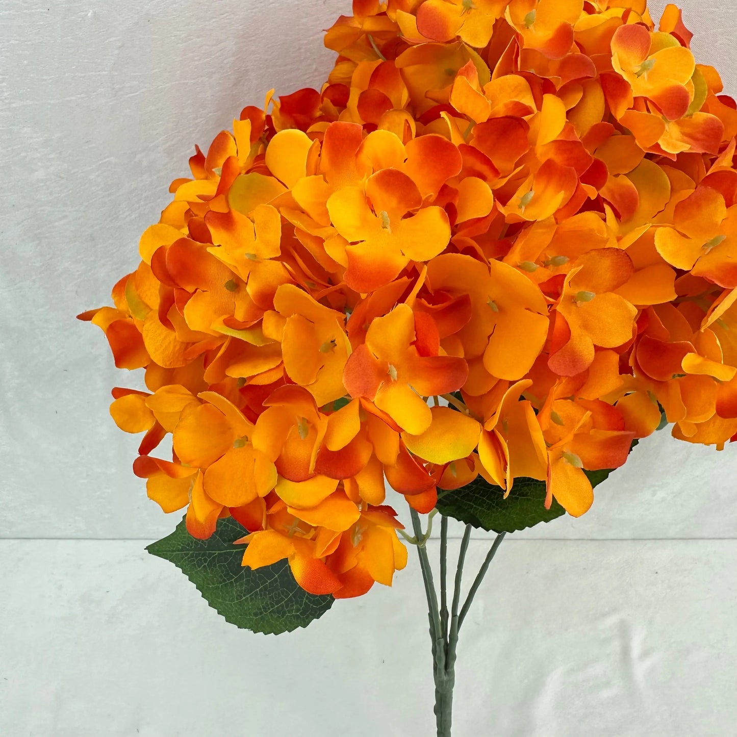 Orange Silk French Hydrangea Bush - 5 Heads RosesHQ.com
