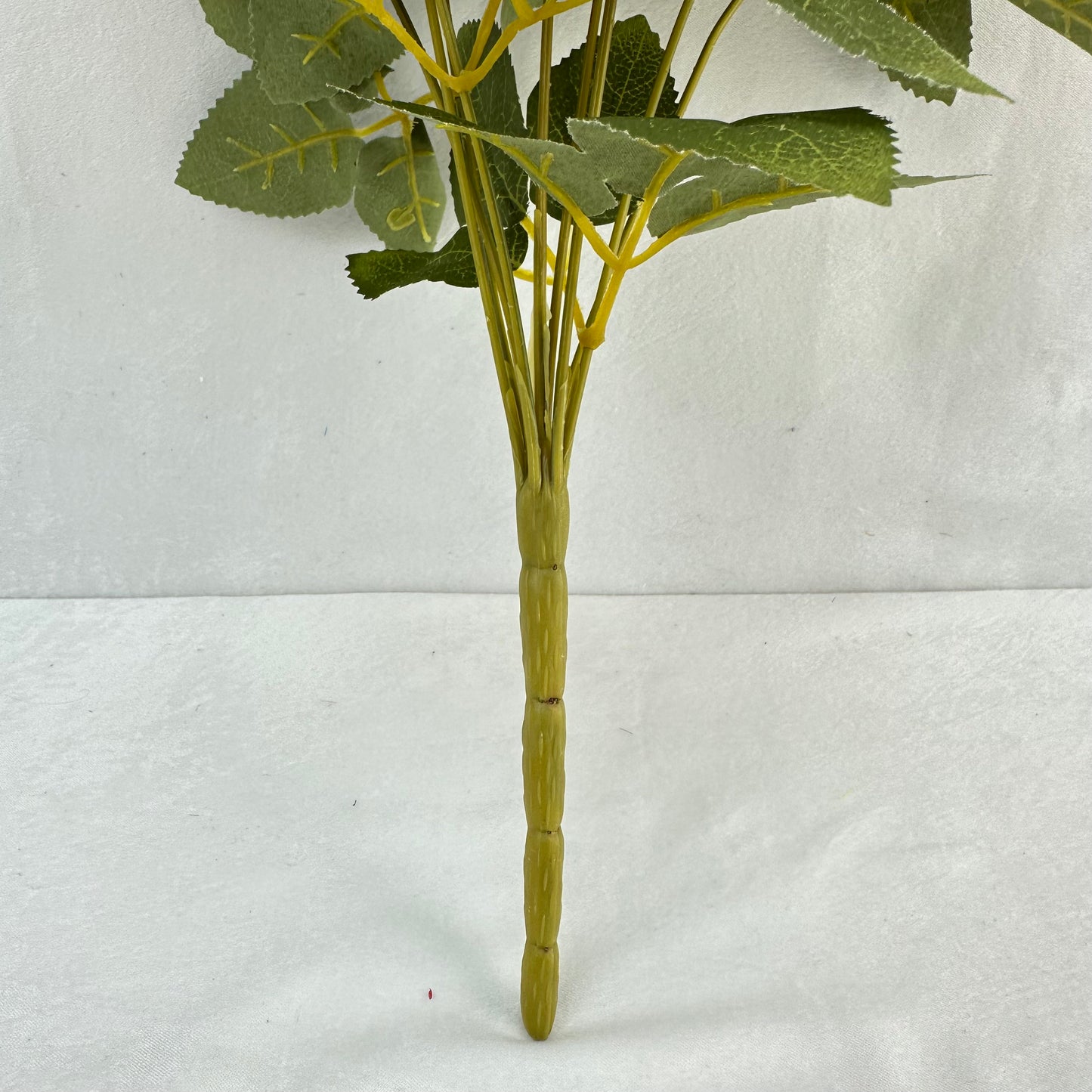 Yellow Silk Bulgarian Rose Bush - 9 Heads
