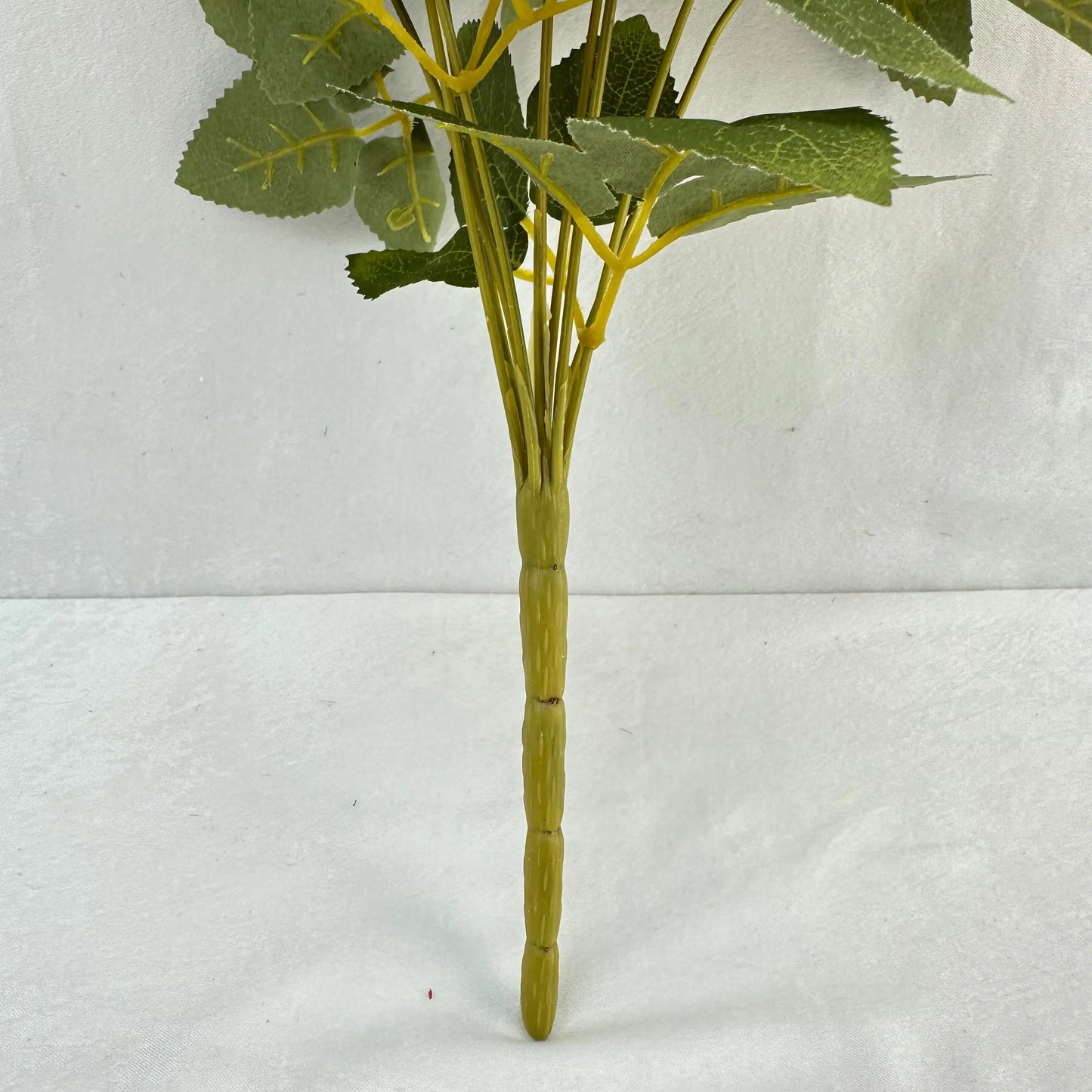 Yellow Silk Bulgarian Rose Bush - 9 Heads RosesHQ.com