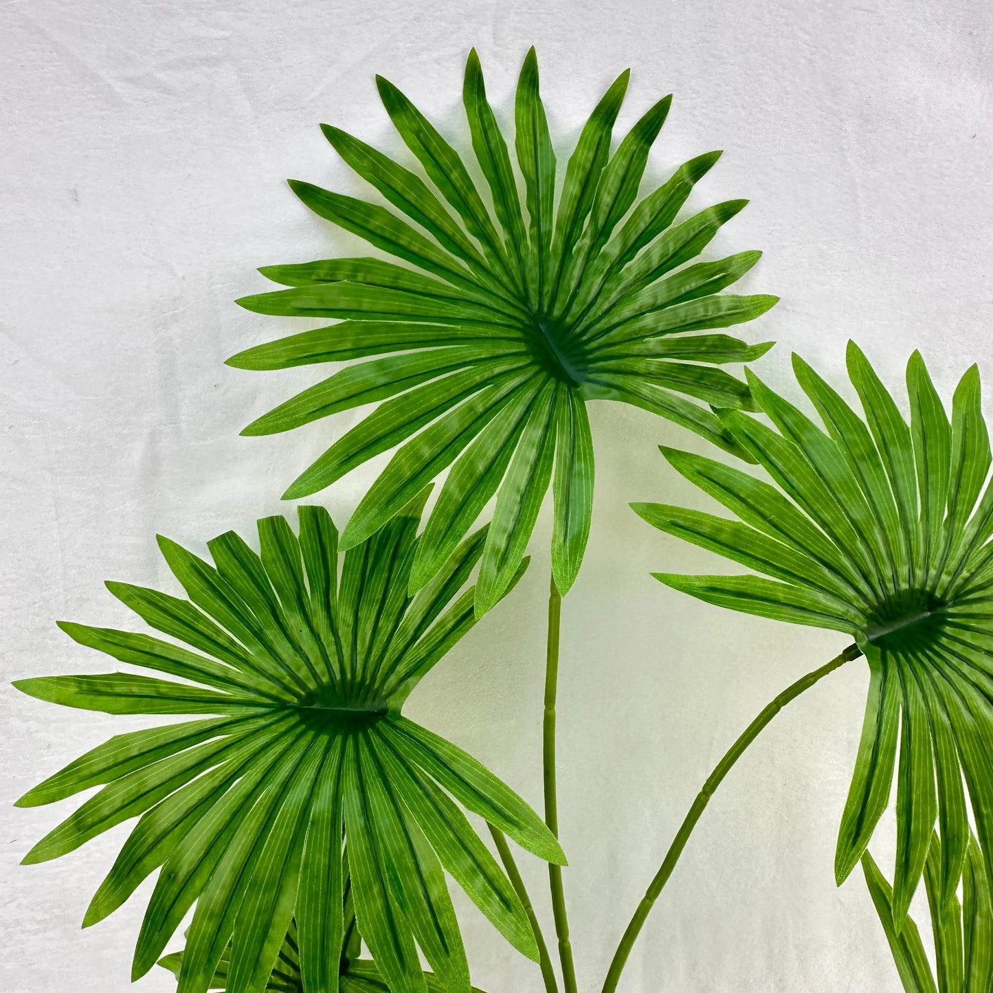 Green Silk Fishtail Palm Leaf 5 Branch RosesHQ.com