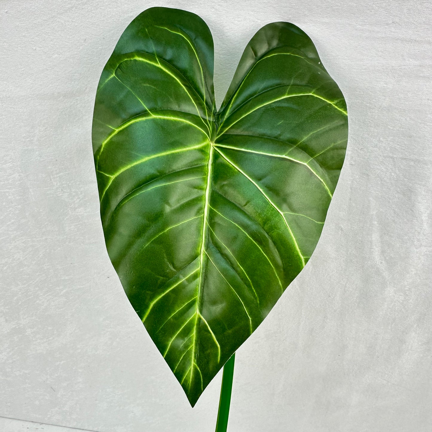 Green Silk Taro Heart Leaf