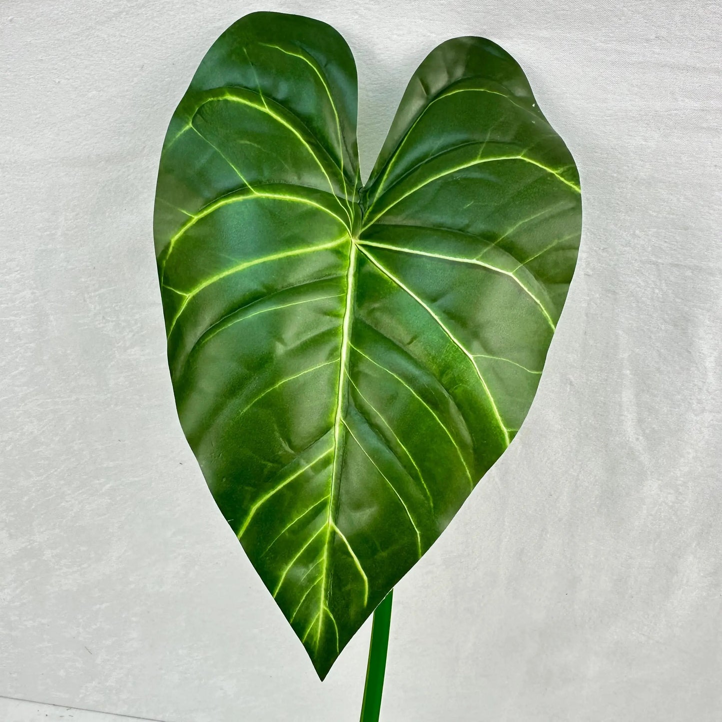 Green Silk Taro Heart Leaf RosesHQ.com