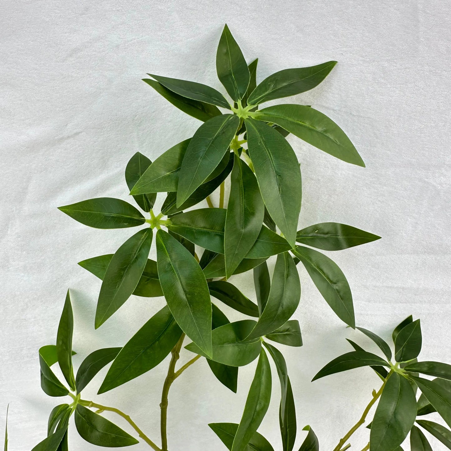 Green Silk Fortune Ruscus Leaf Branch RosesHQ.com