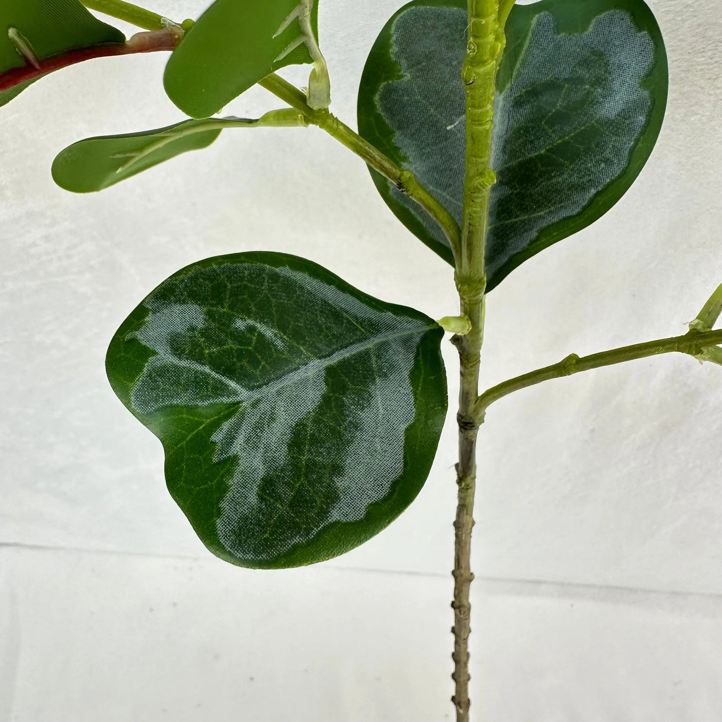 Green Silk Heart Shaped Ficus Leaf Branch RosesHQ.com