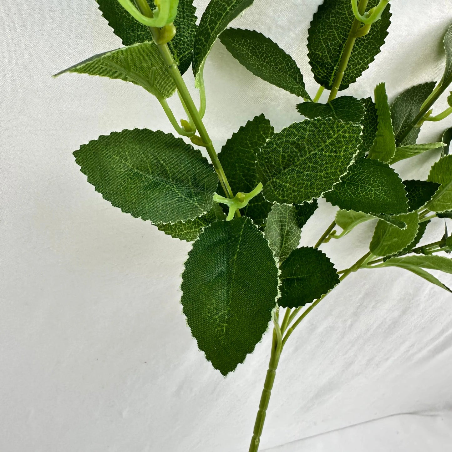Green Silk Osmanthus Leaf 5 Branch RosesHQ.com