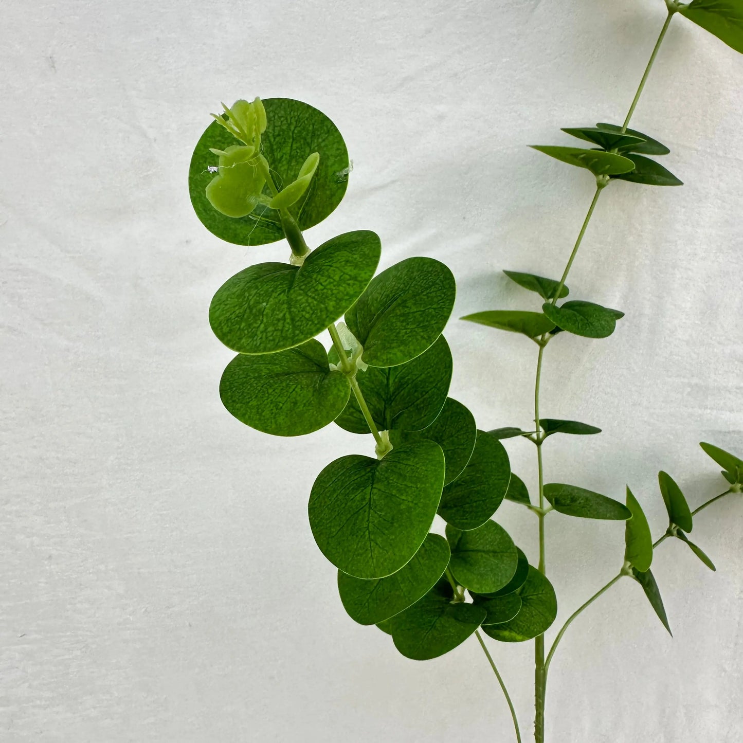 Green Silk Money Leaf 3 Branch RosesHQ.com