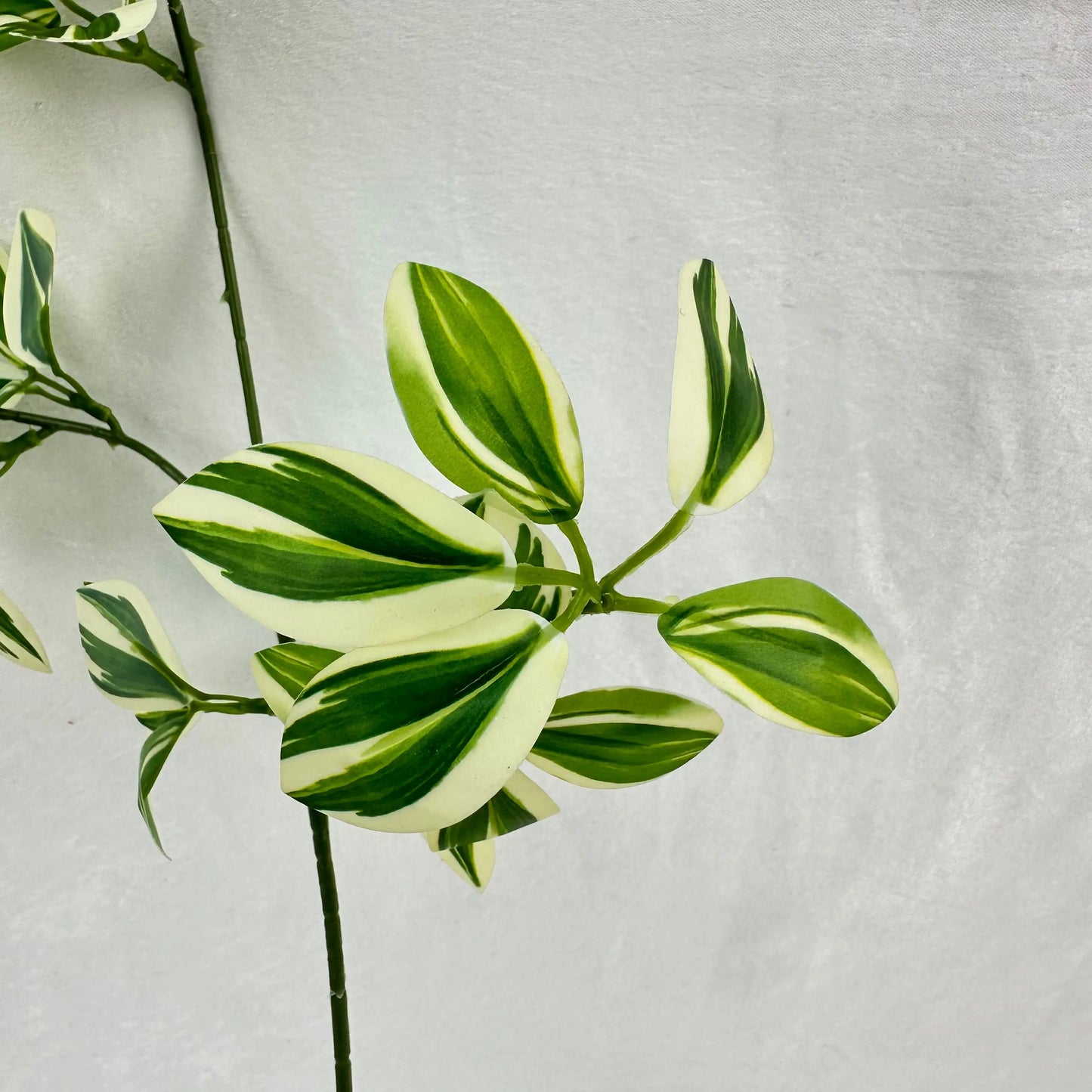 Green Silk Spider Plant 3 Branch RosesHQ.com