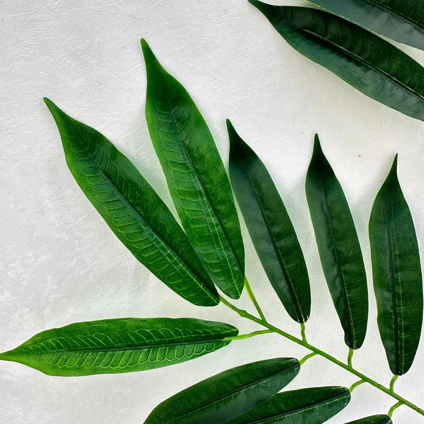 Green Silk Lemon Tree Leaf 12 Pack RosesHQ.com