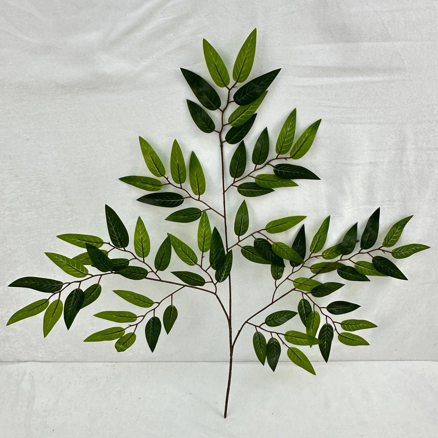 Green Silk Italian Ruscus Leaf 12 Pack RosesHQ.com
