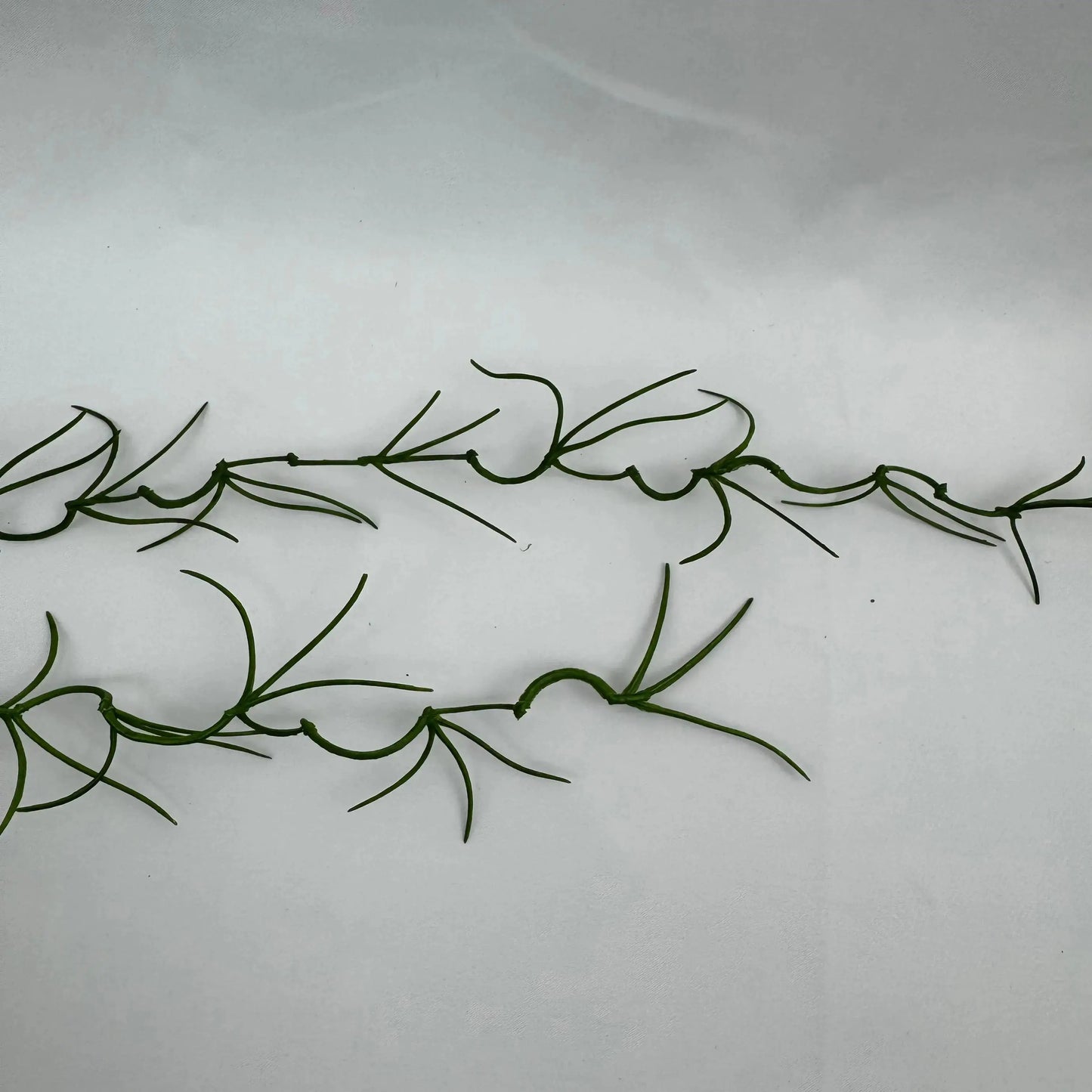 Green Hanging Seaweed Branch RosesHQ.com