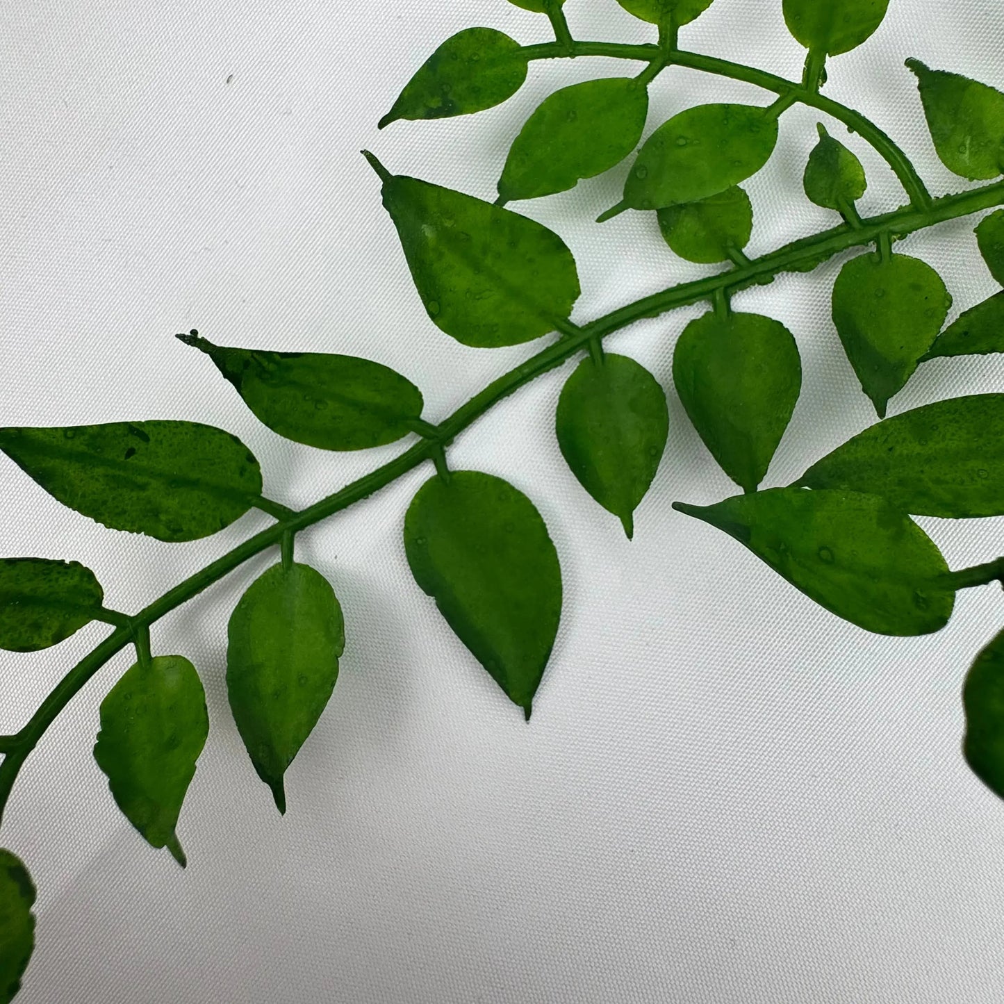 Green Hanging Sandalwood Leaf RosesHQ.com