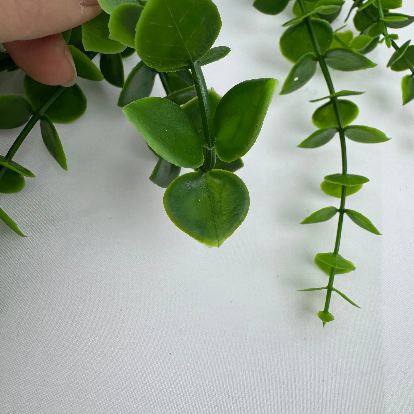 Green Hanging Eucalyptus RosesHQ.com