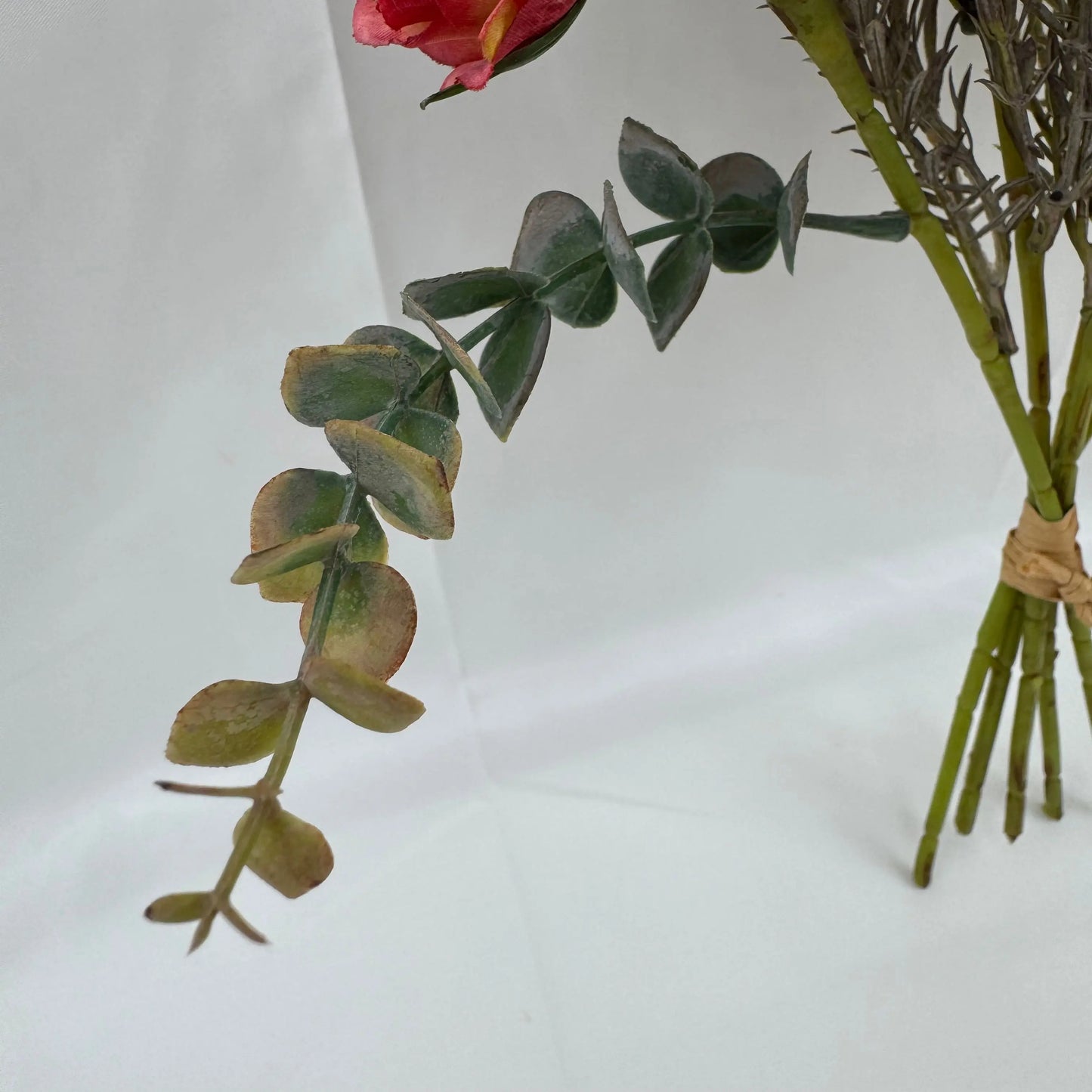 Red Silk Burnt Edge Rose Bud Bush - 20 Heads RosesHQ.com