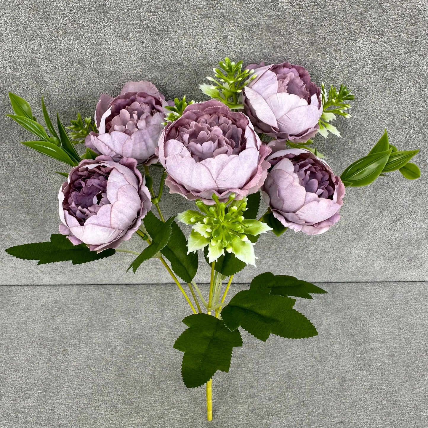 Lavender Silk Round Peony Bush - 5 Heads RosesHQ.com