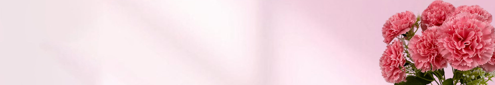 Pink / Blush