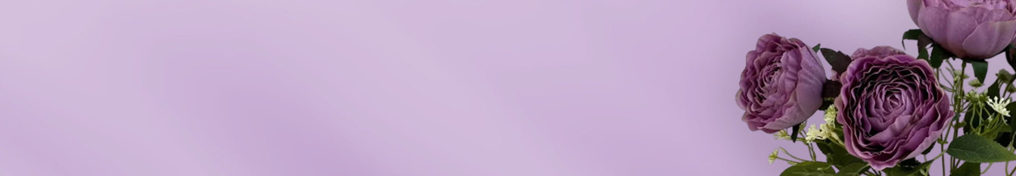 Lilac / Purple