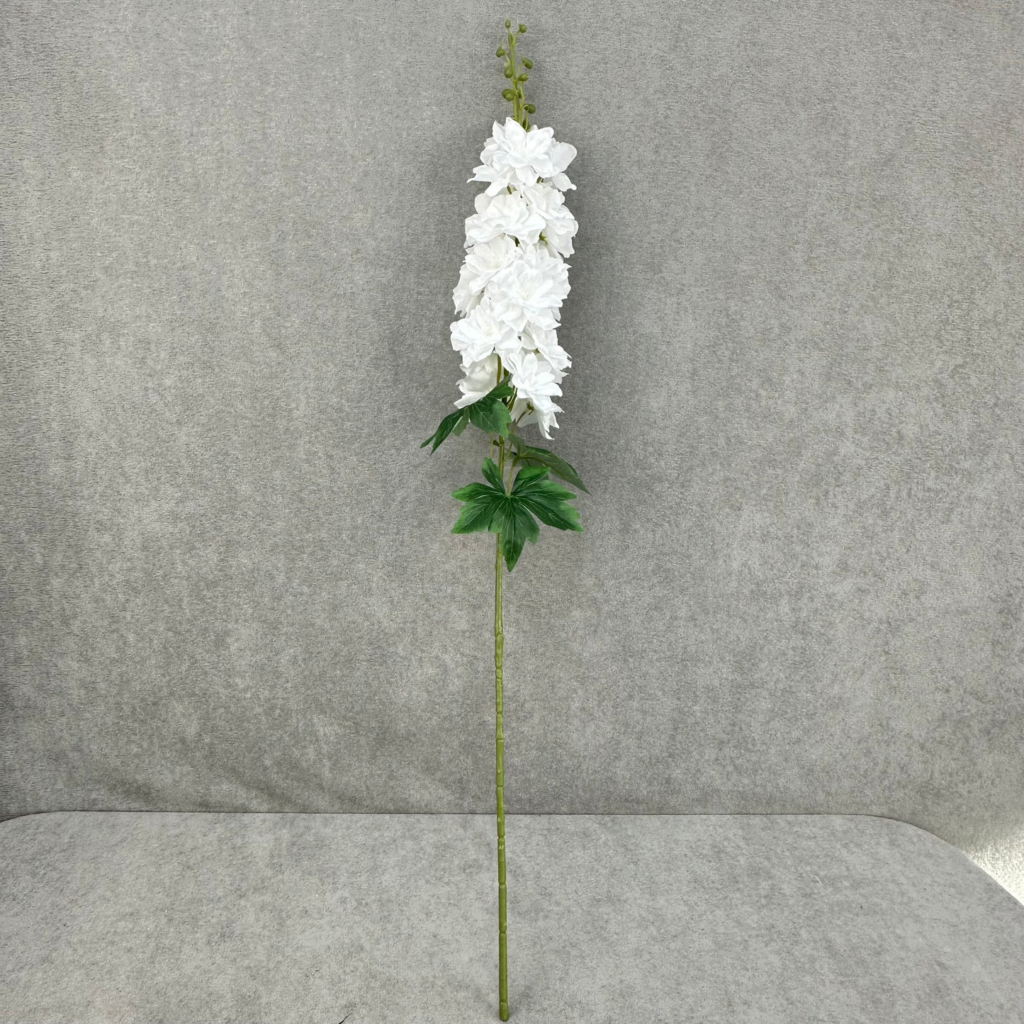 White Silk Spring Larkspur Stem