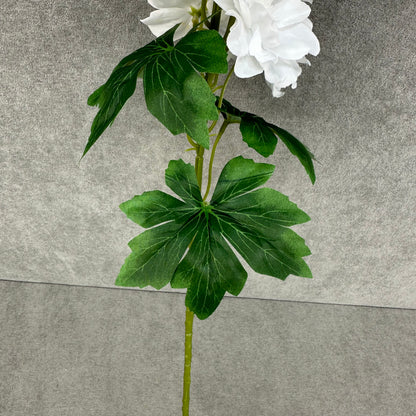 White Silk Spring Larkspur Stem