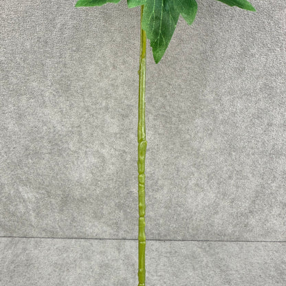 White Silk Spring Larkspur Stem