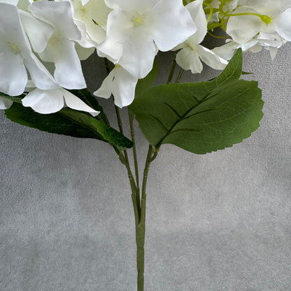 White Silk Amaranthus Stem