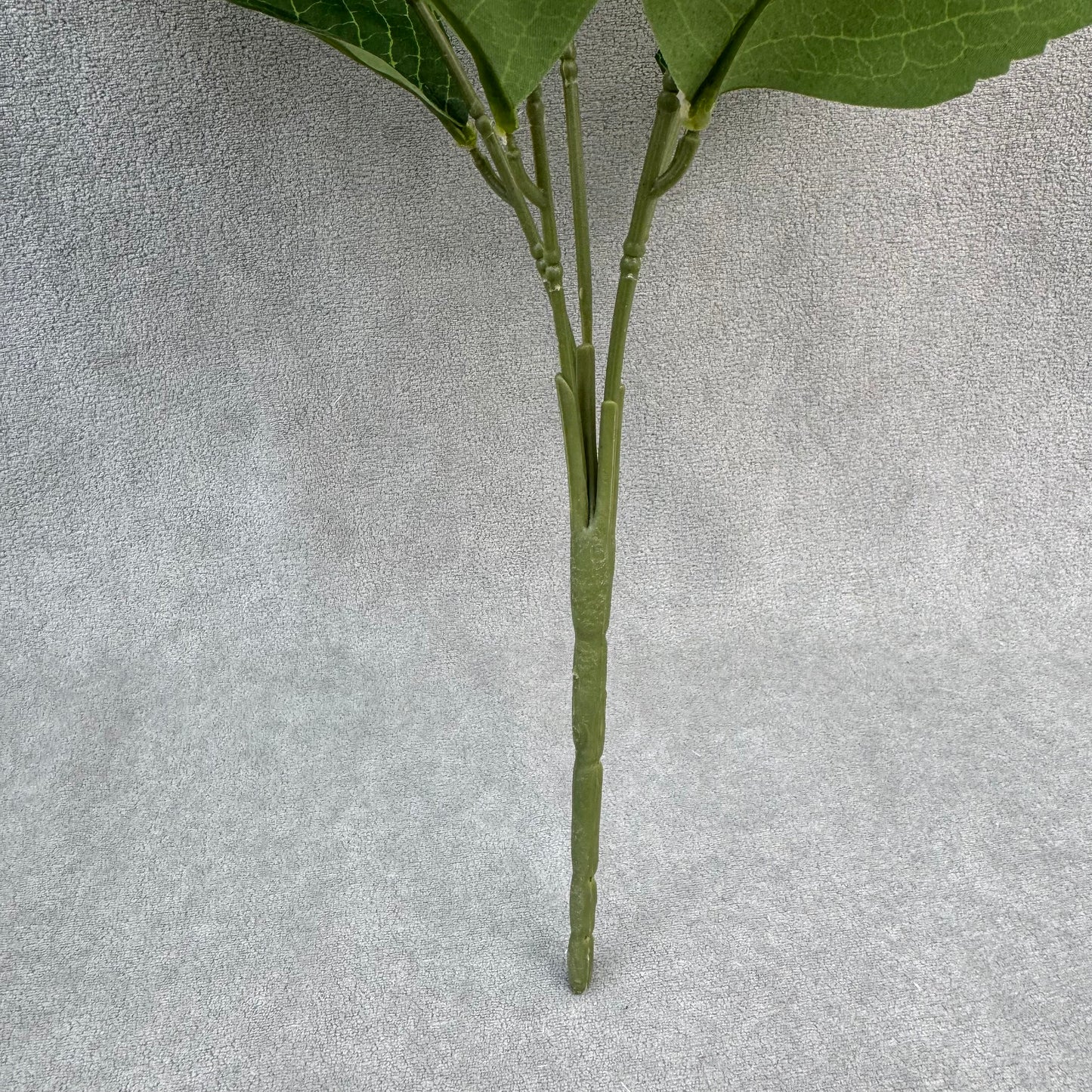 White Silk Bulgarian Hydrangea Bush - 5 Heads