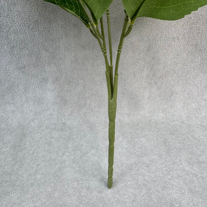 White Silk Bulgarian Hydrangea Bush - 5 Heads