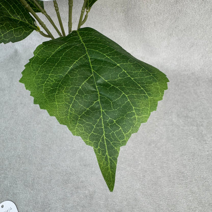 White Silk Amaranthus Stem