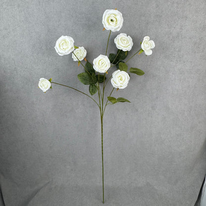 White Silk Empress Rose Bush - 8 Heads