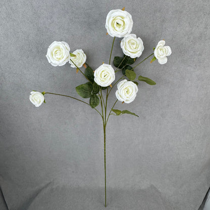 White Silk Empress Rose Bush - 8 Heads