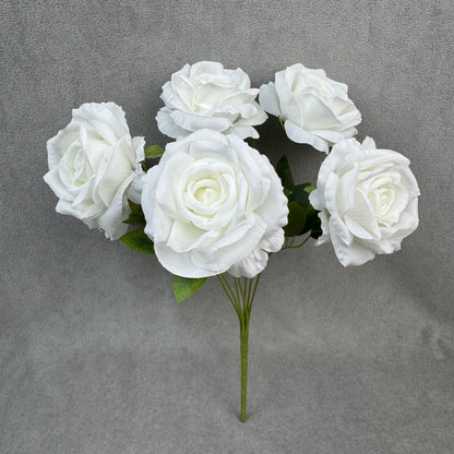 White Silk Star Moon Rose Bush - 7 Heads